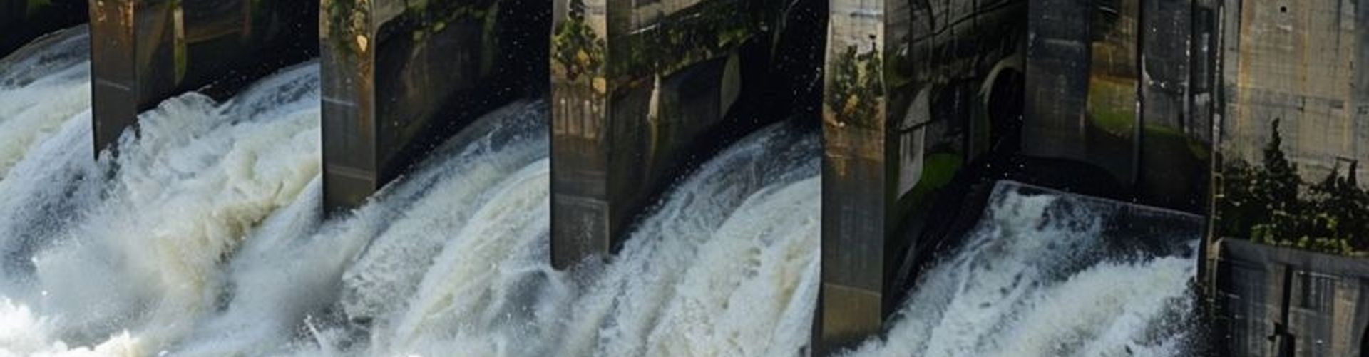 Оценка рисков воды, оценка качества воды