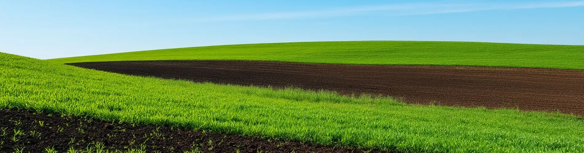 Анализ качества почвы для экологических проектов